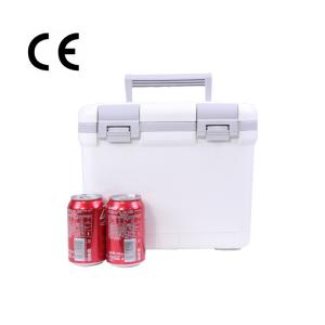 China Temperature Control Ice Cooler Boxes Delivery Portable Freezer Box wholesale