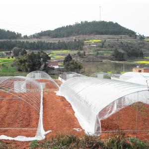 China Polytunnel Plastic Film Agricultural Sawtooth Greenhouse Multi-span wholesale