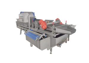 China SUS304 1000KG/H Vortex Leafy Vegetable Washing Machine wholesale