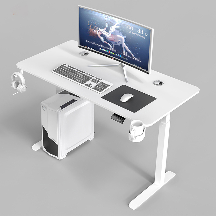 Electric Sit Standing Desk with Double Motors and Custom Mechanical Height Adjustment