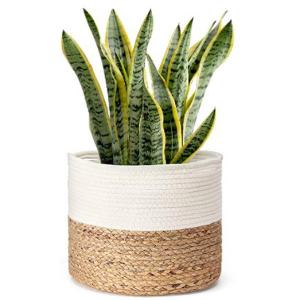 China cotton rope plant basket woven basket 1012 Flower Pot Floor Indoor Planters for Home Decor on sale