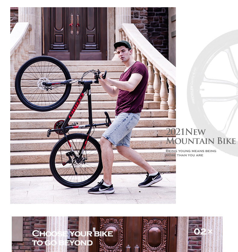 29 Inch Mountain Bike Customizable OEM Mountain Bicycle For Comfortable Riding Experience