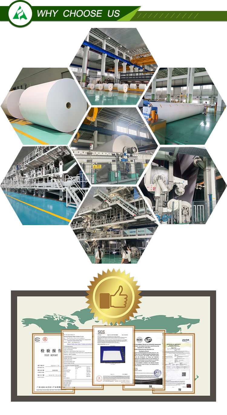 300gsm Coated Gloss Writing and Printing Paper 100% Virgin Pulp Raw Material Used