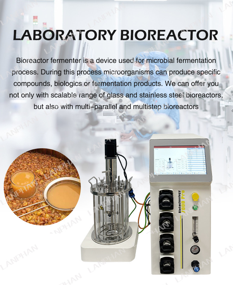 0.25L-15L Glass Bioreactor plant Bioreactor Laboratory Bioreactor Equipment For Cell Culture
