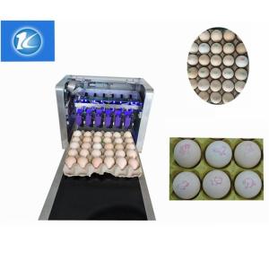 China Semi - Auto Egg Stamping Equipment Low Maintenance Cost One Year Warranty wholesale