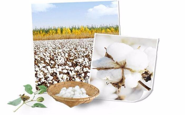 Lightweight 100% Cotton Dry 20gsm Face Mask Sheet
