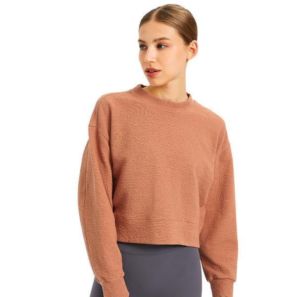 Autumn Winter Gym Crop Top Crew Neck Cotton Pullover Sportwear Cropped