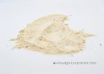 Hamburgers Sandwich 8002-80-0 Wheat Gluten Protein Powder