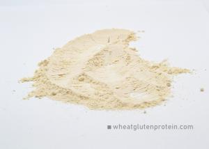 China Hamburgers Sandwich 8002-80-0 Wheat Gluten Protein Powder wholesale