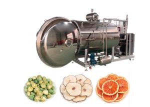 China Industrial Freeze Dry Fruit Machine 200Kg Food Vacuum Freeze Drying Machine wholesale