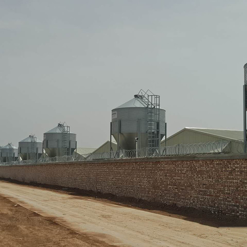 Automatic Raising Housing And Equipment For Swine Production CE SGS