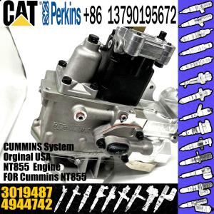 China NT855 engine PT fuel Injection Pump 4944742 6P1168 4951501 3019487 wholesale
