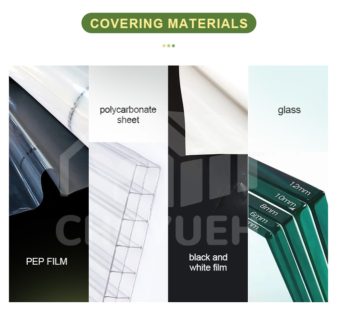 Hot Galvanized Steel Pipes Auto Light Deprivation Greenhouse With Blackout Curtain