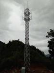 Wind Resistant Wireless Antenna Tubular Steel Tower