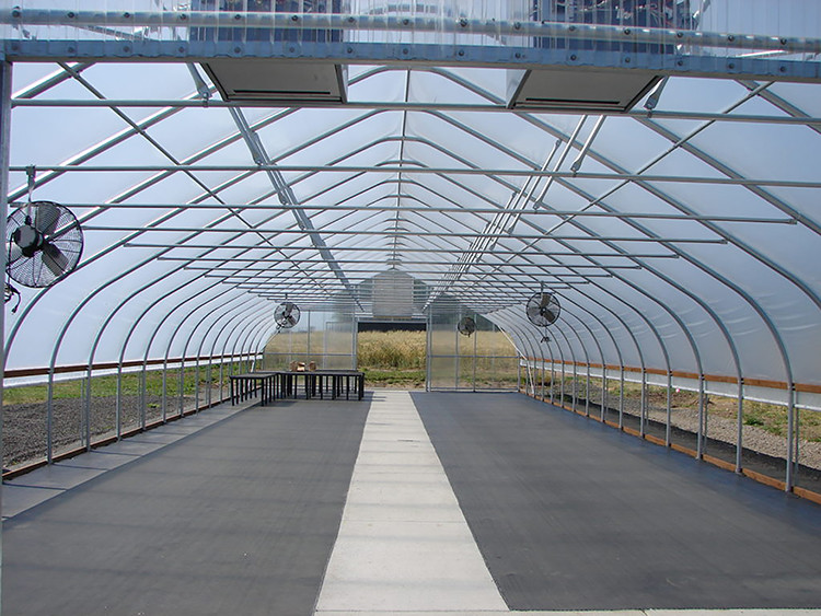 Single Span PE Film Greenhouse TUV Low Cost Poly Tunnel Greenhouse
