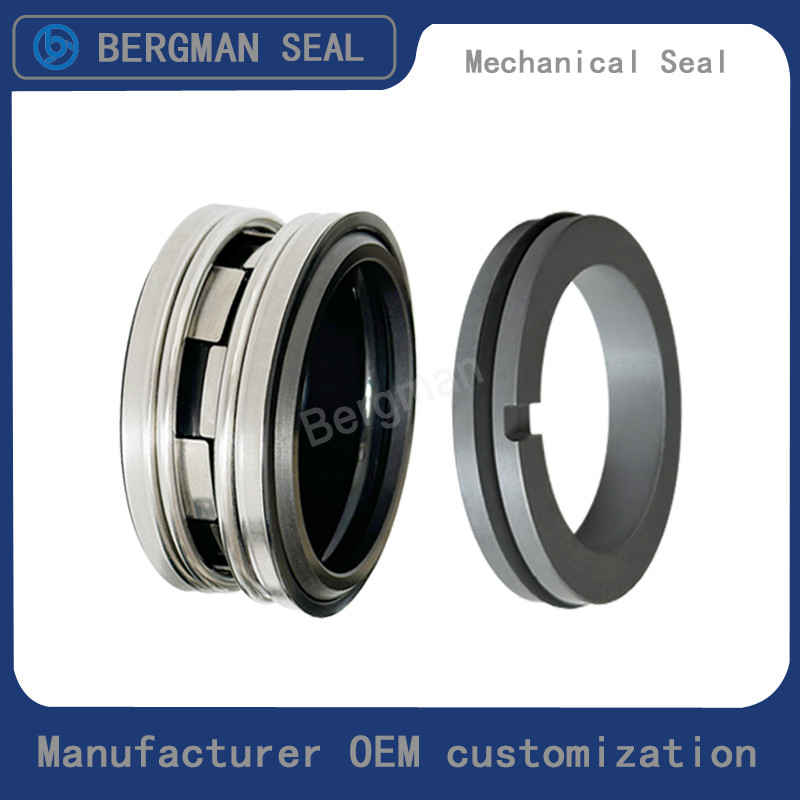 BERGMAN Replaces John Crane 2100-S 12mm-100mm G60 G4 G6 G9 G13 G16 BS Bo BP Pump Mechanical Seal