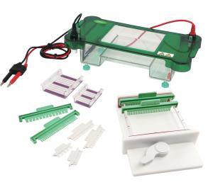 China Safety Horizontal Gel Electrophoresis Apparatus , Dna Electrophoresis System wholesale