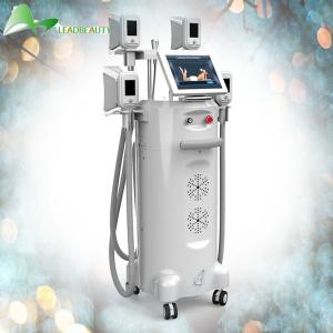 China weight loss beauty equipment / Coolsculpting machine / cryolipolysis slimming machine wholesale