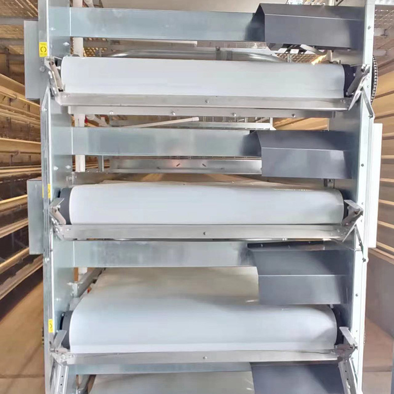 3 Tiers 4 Tiers H Type Layer Chicken Cage 25.5*24.5'' Hopper Feeding