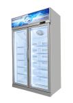 Multifunctional Commercial Display Freezer Glass Door Variable Frequency Freezer