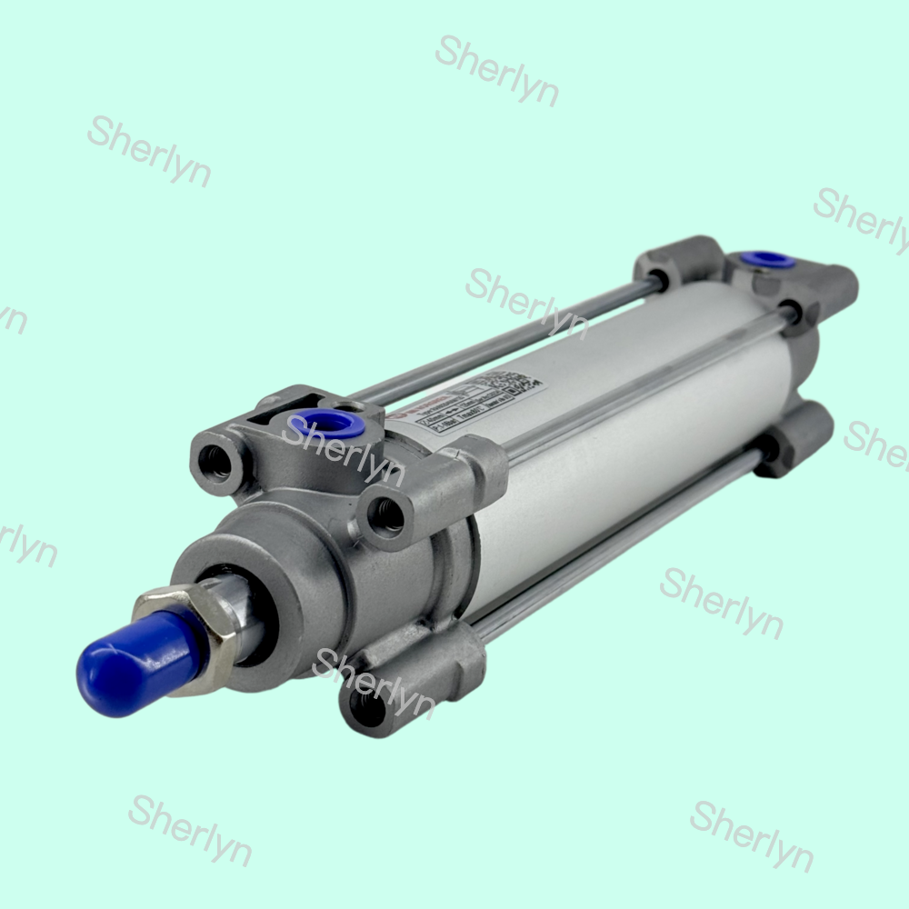 G1/4 Port Size Double Acting Cylinder RA/802040/M/50