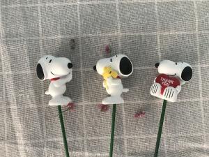 China OEM Home Decorative Flowerpick with Wholesale Price wholesale