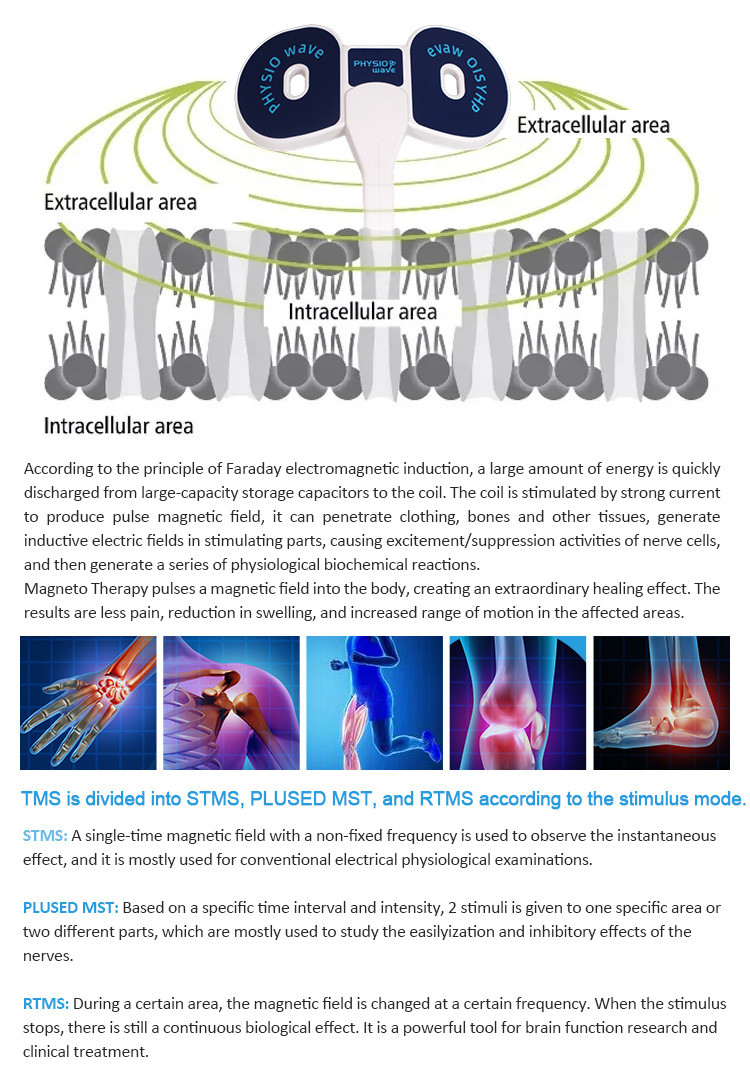 Gomecy PEMF Magnetic Therapy Device with Multiple Intensity Levels for Elderly Joint Mobility and Pain Relief