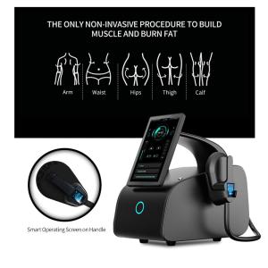 China EMS Muscle Building Body Slimming Buttocks Lifting Tesla Machine wholesale