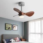 20 Inch Small Ceiling Fan Light American Retro Silent Electric Fan Pendant Light