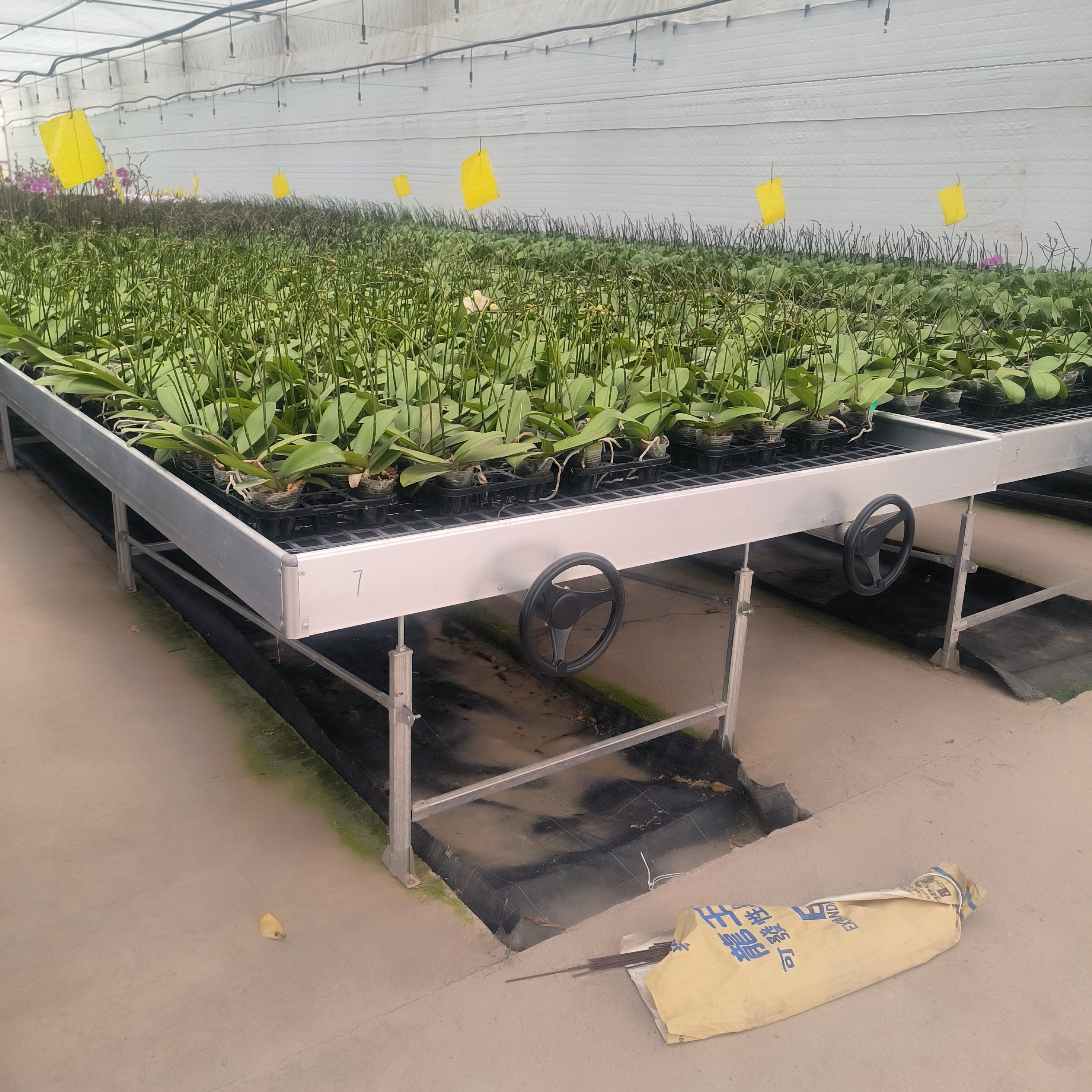 Ebb And Flow Greenhouse Farming Flower Grow Table Rolling Bench For Seedling