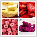 Electric Heating Small Freeze Drying Machine For Ice Cream Noodle Egg Sea Food