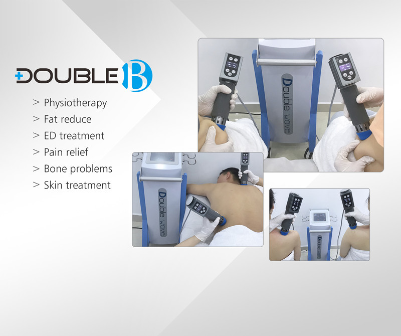 Pain Relif Electromagnetic Therapy Machine Home Use One Year Warranty Electromagnetic Therapy Machine