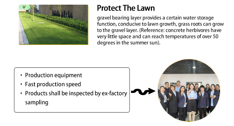 Black Green HDPE Plastic Grass Paver Grid for Parking Lot Planting Durable and Strong