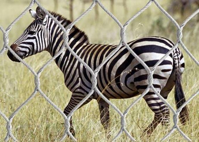 AISI316 Woven Type Wire Rope Stainless Steel Zoo Mesh / Animal Enclosure Fencing