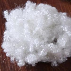 China Coiled Coil Hollow Conjugated Polyester Staple Fiber Recycled 51mm wholesale