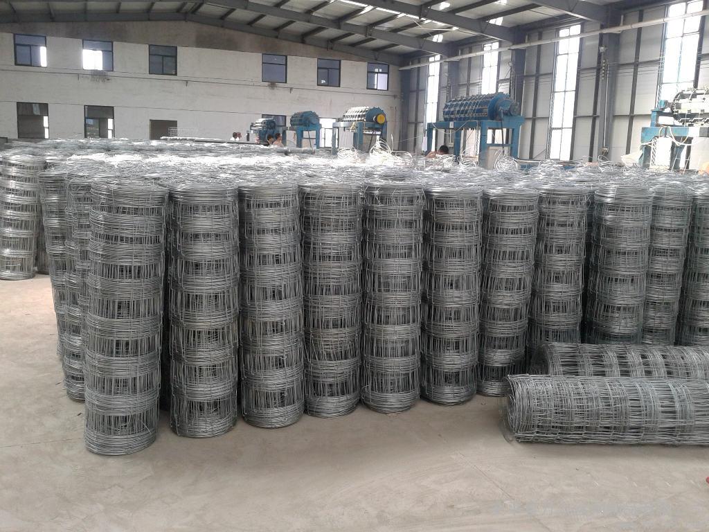 Goat Farm Fence Hot Dipped Galvanized Hinge Joint Knot Field Fence