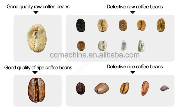Mini Coffee Color Sorter Cocoa Beans Color Sorter Rice Color Sorter Machine