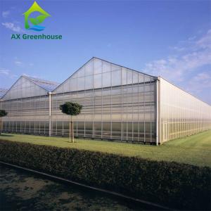 China Agricultural Farm Plant Vegetable PC Sheet Greenhouse With Ventilation System wholesale