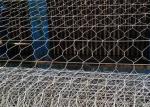 Sturdy Iron Wire Gabion Mesh for Plant Protection