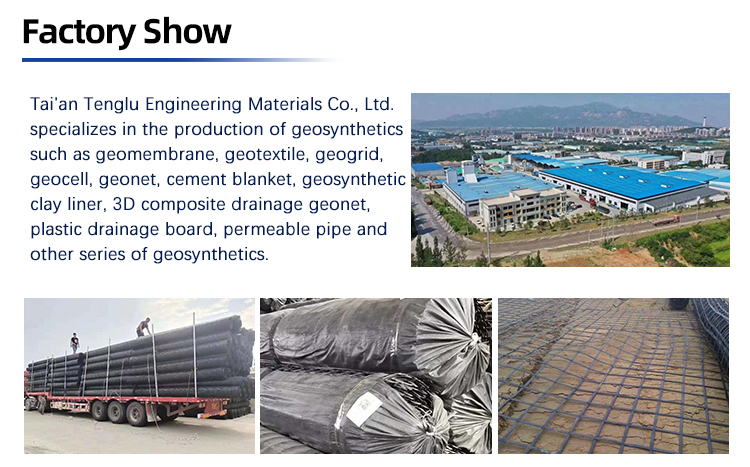 s Durable Steel Plastic Geogrids The Modern and Solution for Road Construction