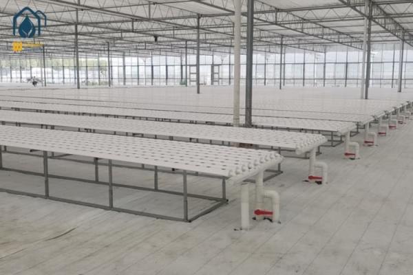 Greenhouse Vegetables Lettuce Grow Hydroponic System NFT Vertical Hydroponic