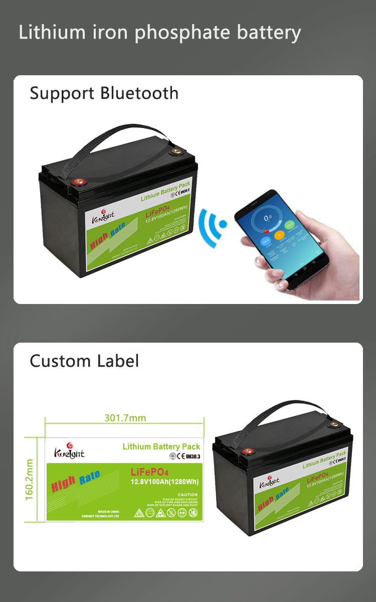 12v 100ah Battery Lifepo4 Battery Pack Lithium Cell Lifepo4 Batteries