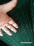 38kg/M2 Galvanized Pvc Coated Chicken Wire Mesh