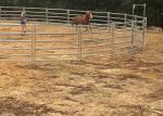30-40 Head 50x50 High Visibility Livestock Cattle Yard Panels