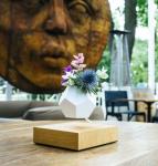 Creative Design Levitation Bonsai ,floating plant pot ,magnetic levitation