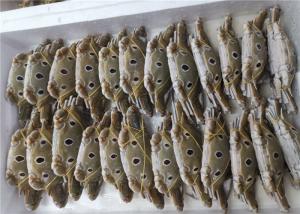 China Omega 3 Whole Round 100g-300g Three Spotted Crab wholesale