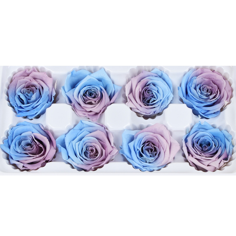 4-5cm Preserved Rose Heads Gorgeous Flower Color Easy Matching Other Colors