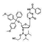 DNA RNA phosphoramidite oligonucleotide synthesis Raw Materials