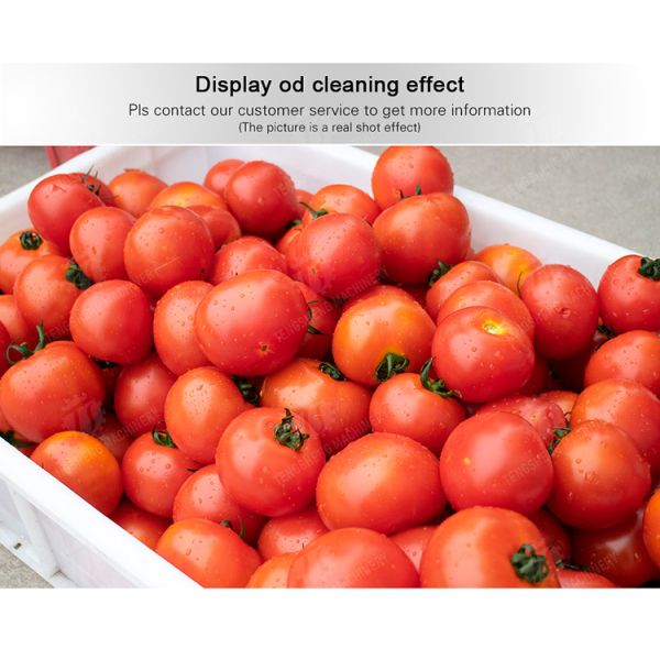 Leaves Leafy vegetables Cabbage varieties Herbs Fruiting vegetables Vegetables bubblewashing machine Wash Washer Washing Cleaning The dish washing