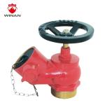 Flange Brass 2.5" 3" Relief Valve Landing Valve